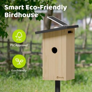 Birdfy Solar Powered Smart Bird House with Camera, Ebony