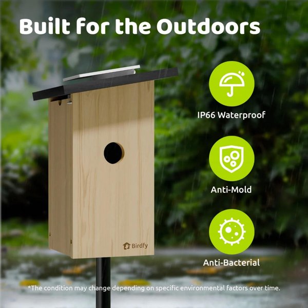 Birdfy Solar Powered Smart Bird House with Camera, Ebony