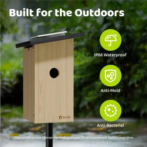 Birdfy Solar Powered Smart Bird House with Camera, Ebony