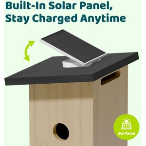 Birdfy Solar Powered Smart Bird House with Camera, Ebony