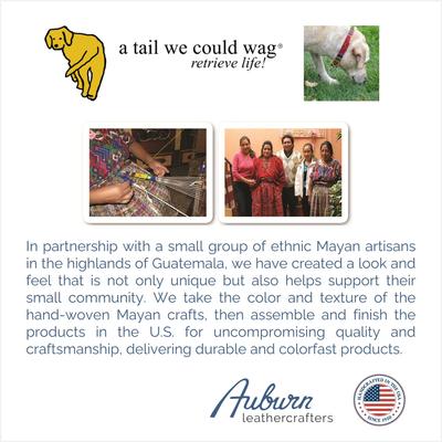 Show full view: a tail we could wag Rasta Nylon Martingale Dog Collar, Small: 11 to 15-in neck, 1-in wide slide 5 of 6