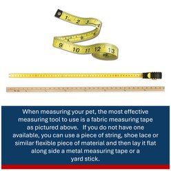 a tail we could wag Rasta Nylon Martingale Dog Collar, Large: 18 to 25-in neck, 1-in wide slide 2 of 6