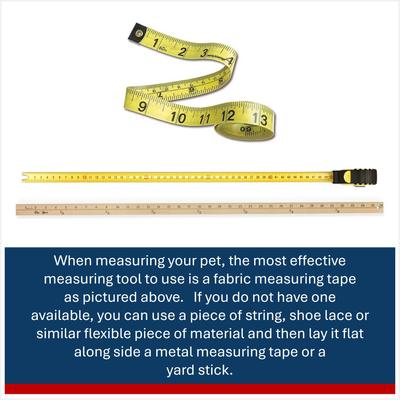 Show full view: a tail we could wag Rasta Nylon Martingale Dog Collar, Small: 11 to 15-in neck, 1-in wide slide 4 of 6