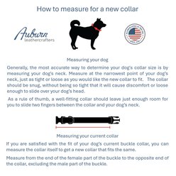 a tail we could wag Harvest Chevron Nylon Martingale Dog Collar, Large: 18 to 25-in neck, 1-in wide slide 2 of 6