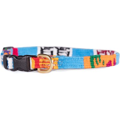 a tail we could wag a tail we could wag Antigua Nylon Dog Collar, X-Small: 9 to 12-in neck, 1/2-in wide