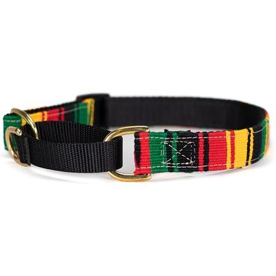 a tail we could wag a tail we could wag Rasta Nylon Martingale Dog Collar, Small: 11 to 15-in neck, 1-in wide