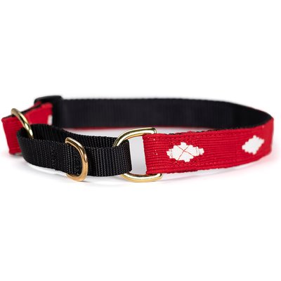 a tail we could wag a tail we could wag Diamonds Nylon Martingale Dog Collar, X-Large: 23 to 30-in neck, 1-in wide