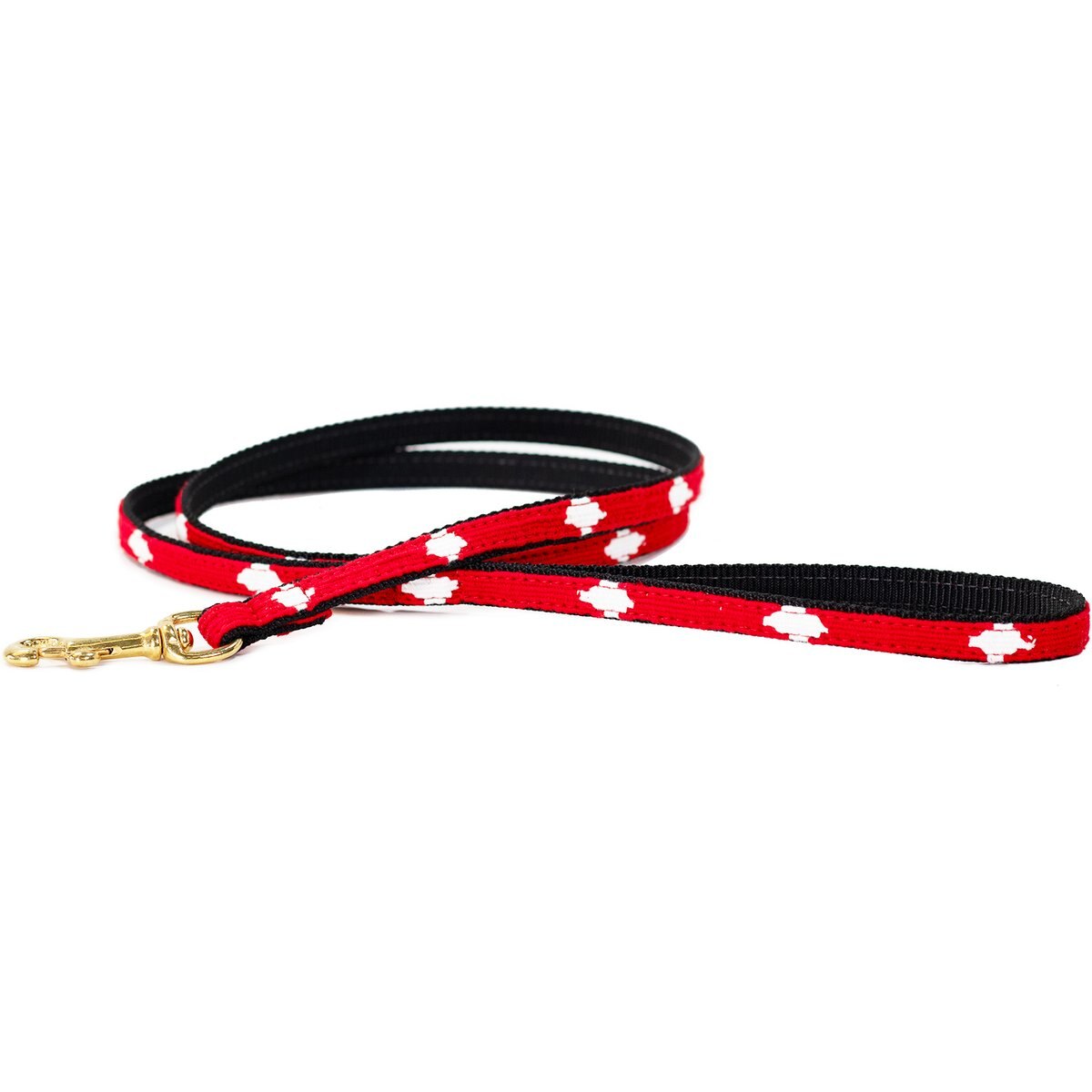 a tail we could wag Diamonds Nylon Dog Leash, 6-ft long, 1/2-in wide