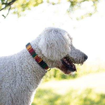 Show full view: a tail we could wag Rasta Nylon Dog Collar, Large: 18 to 25-in neck, 1-in wide slide 2 of 7