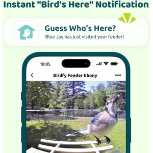 Birdfy Wooden Smart Bird Feeder with Camera Solar Powered, Ebony, 2.8L