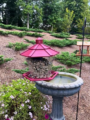 Show full view: Pennington Earth Smart Recycled EcoGazebo Bird Feeder, Red slide 7 of 12