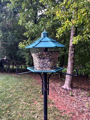 Show full view: Pennington Earth Smart Recycled EcoGazebo Bird Feeder, Green slide 8 of 11