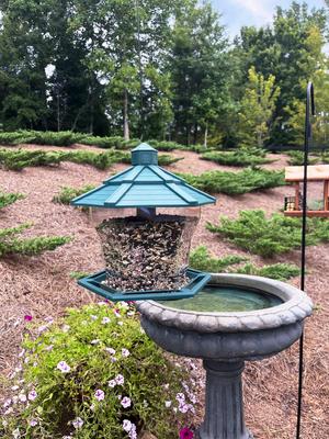 Show full view: Pennington Earth Smart Recycled EcoGazebo Bird Feeder, Green slide 7 of 11