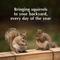 Show in main carousel: C&S Nut'n Sweet Corn Squirrelog Refill Squirrel Food, 32-oz slide 8 of 11