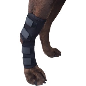 Labra Extra Supportive Dog Hock Brace with Flex Straps, Large