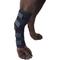 Show in main carousel: Labra Extra Supportive Dog Hock Brace with Flex Straps, Small slide 4 of 5