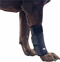 Labra Front Leg Dog Wrap, Large/X-Large