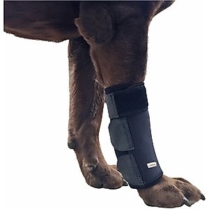Medipaw Basic Dog & Cat Protective Boot