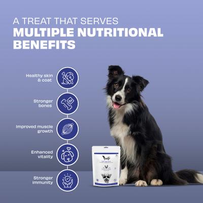 Show full view: Pawfect Woofur Chicken & Blueberry Air-Dried All Natural Grain-Free Jerky Dog Training Treat, 1.76-oz bag slide 4 of 10