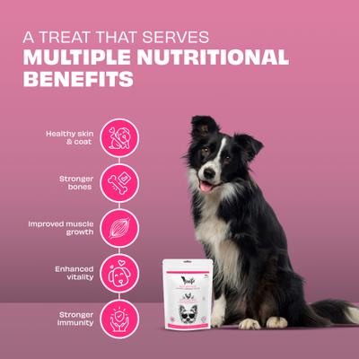 Show full view: Pawfect Woofur Chicken & Cranberry Air-Dried All Natural Grain-Free Jerky Dog Training Treat, 1.76-oz bag slide 4 of 10