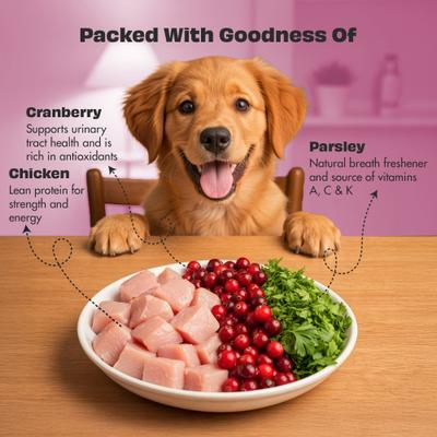 Show full view: Pawfect Woofur Chicken & Cranberry Air-Dried All Natural Grain-Free Jerky Dog Training Treat, 1.76-oz bag slide 5 of 10
