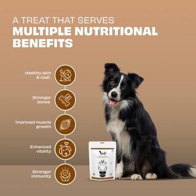 Show full view: Pawfect Woofur Chicken & Coconut Air-Dried All Natural Grain-Free Jerky Dog TrainingTreat, 1.76-oz bag slide 4 of 11