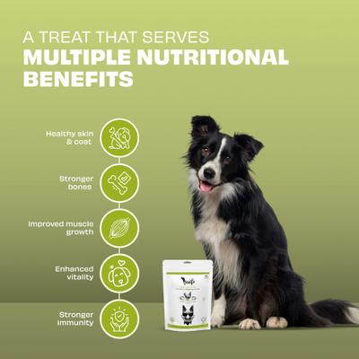 Show full view: Pawfect Woofur Chicken & Pumpkin Air-Dried All Natural Grain-Free Jerky Dog Training Treat, 1.76-oz bag slide 4 of 11