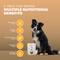 Show in main carousel: Pawfect Woofur Chicken & Banana Air-Dried All Natural Grain-Free Jerky Dog Training Treat, 1.76-oz bag slide 4 of 11