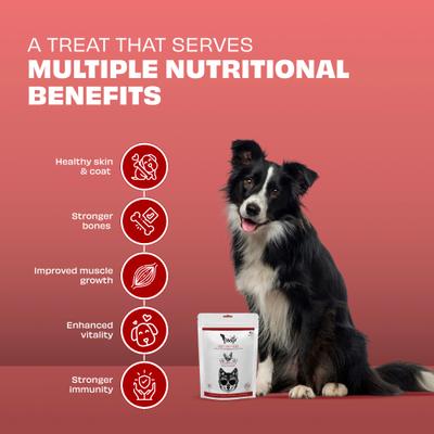 Show full view: Pawfect Woofur Chicken & Apple Air-Dried All Natural Grain-Free Jerky Dog Training Treat, 1.76-oz bag slide 4 of 8