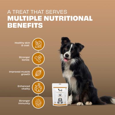 Show full view: Pawfect Woofur Chicken & Ginger Air-Dried All Natural Grain-Free Jerky Dog Training Treat, 1.76-oz bag slide 4 of 11