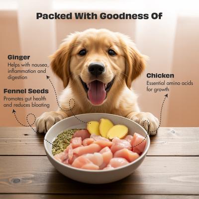 Show full view: Pawfect Woofur Chicken & Ginger Air-Dried All Natural Grain-Free Jerky Dog Training Treat, 1.76-oz bag slide 5 of 11