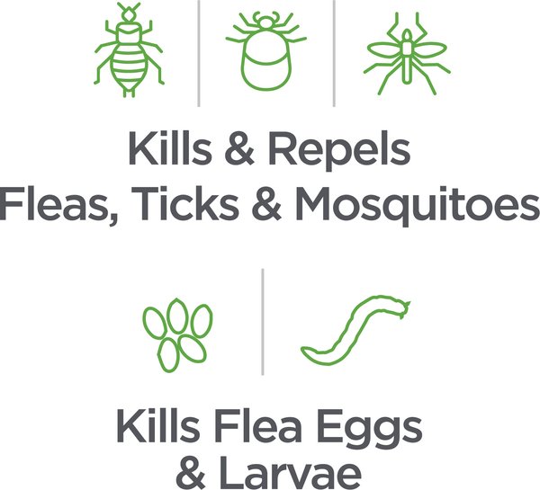 Show full view: TevraPet Naturals Flea & Tick Dog & Cat Shampoo, 8-fl oz bottle slide 4 of 9