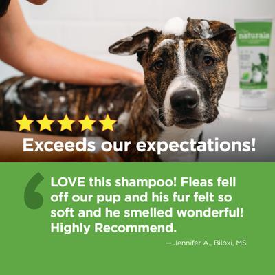 Show full view: TevraPet Naturals Flea & Tick Dog & Cat Shampoo, 8-fl oz bottle slide 9 of 9