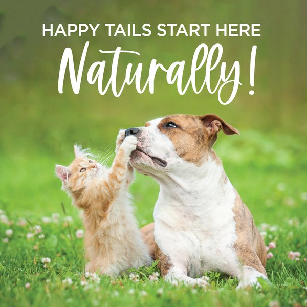 Show full view: TevraPet Naturals Flea & Tick Dog & Cat Shampoo, 8-fl oz bottle slide 8 of 9