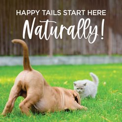 TevraPet Naturals Flea & Tick Spray Dog & Cat Spray, 8-fl oz bottle slide 2 of 9