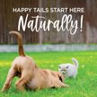 Show in main carousel: TevraPet Naturals Flea & Tick Spray Dog & Cat Spray, 8-fl oz bottle slide 7 of 9