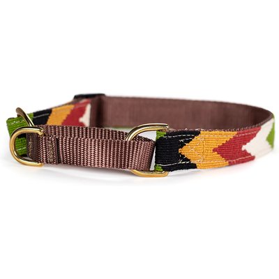 a tail we could wag a tail we could wag Harvest Chevron Nylon Martingale Dog Collar, Large: 18 to 25-in neck, 1-in wide