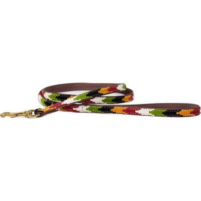 a tail we could wag a tail we could wag Harvest Chevron Nylon Dog Leash, 6-ft long, 1/2-in wide