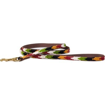 a tail we could wag a tail we could wag Harvest Chevron Nylon Dog Leash, 4-ft long, 1/2-in wide