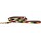Show in main carousel: a tail we could wag Harvest Chevron Nylon Dog Leash, 4-ft long, 1/2-in wide slide 1 of 4