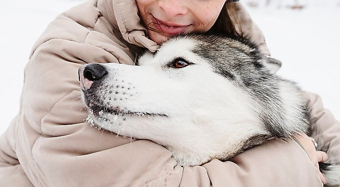 Merrick Backcountry Raw Infused Grain-Free Great Plains Red Recipe Freeze-Dried Dog Food