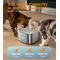 Show in main carousel: OneIsAll PW03 Automatic Stainless Steel Cat Water Fountain, Medium: 3.5-L slide 4 of 11