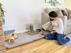 Critter Colony Club Guinea Colony Starter Kit Guinea Pig Cage, 2 x 4-ft slide 2 of 6