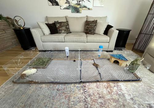 Show full view: Critter Colony Club Guinea Colony Divider Pack Guinea Pig Cage Accessory slide 4 of 5