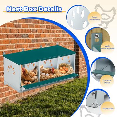 Show full view: Yafylly 3 Nest Galvanized Steel Chicken Nesting Box, 16-lb bag slide 6 of 7