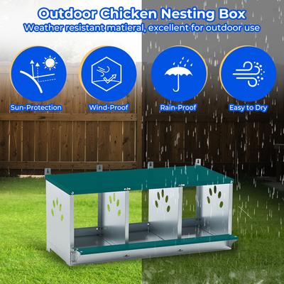 Show full view: Yafylly 3 Nest Galvanized Steel Chicken Nesting Box, 16-lb bag slide 7 of 7