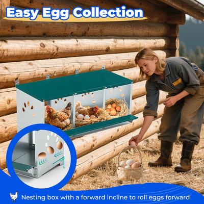 Show full view: Yafylly 3 Nest Galvanized Steel Chicken Nesting Box, 16-lb bag slide 3 of 7