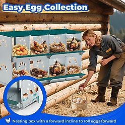 Yafylly 8 Compartment Galvanized Steel Chicken Nesting Box, 37-lb bag slide 2 of 7