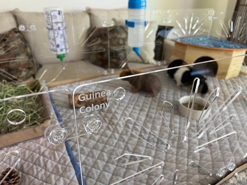 Show full view: Critter Colony Club Guinea Colony Starter Kit Guinea Pig Cage, 2 x 4: 10.89-sq ft slide 5 of 7