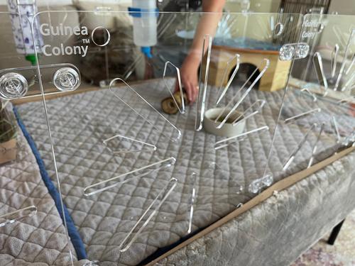 Show full view: Critter Colony Club Guinea Colony Starter Kit Guinea Pig Cage, 2 x 3: 8.17-sq ft slide 2 of 5